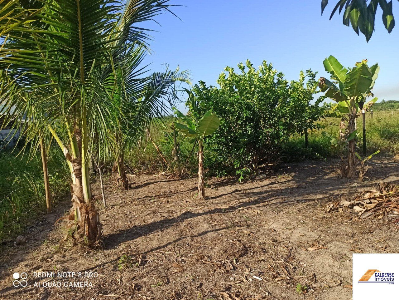 Terreno à venda - Foto 4