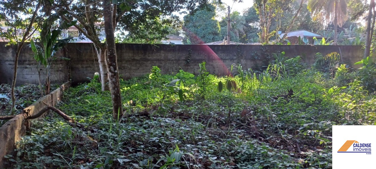 Terreno à venda - Foto 6