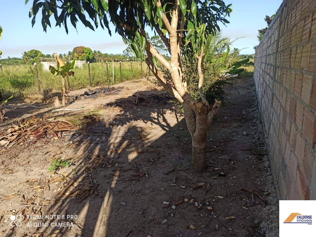 Terreno à venda - Foto 3