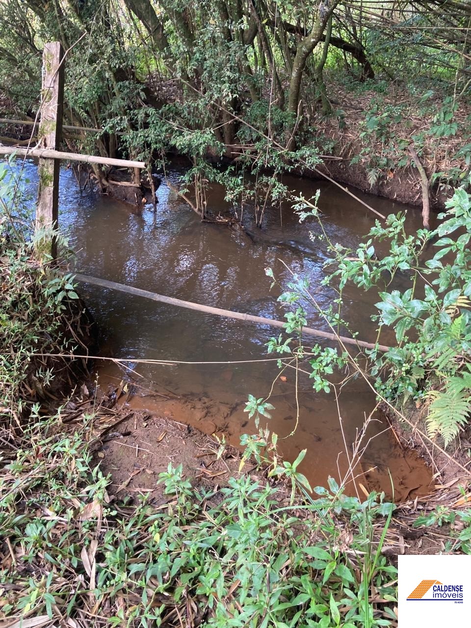 Chácara à venda - Foto 4