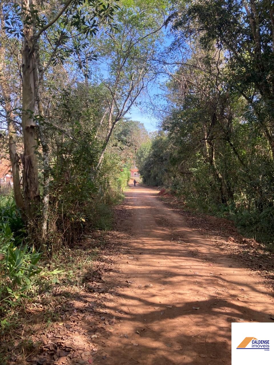 Chácara à venda - Foto 8