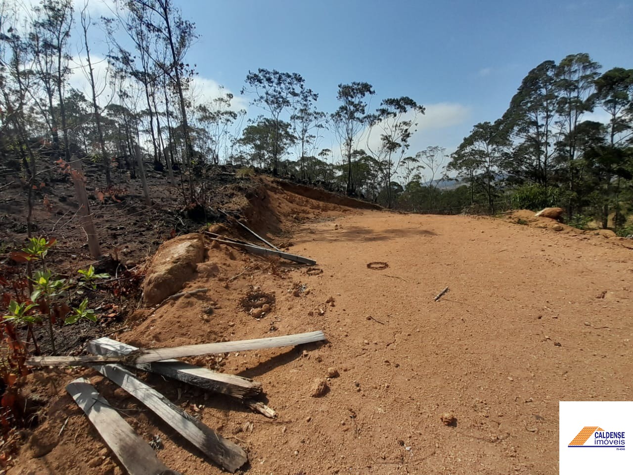 Terreno à venda, 21800m² - Foto 5