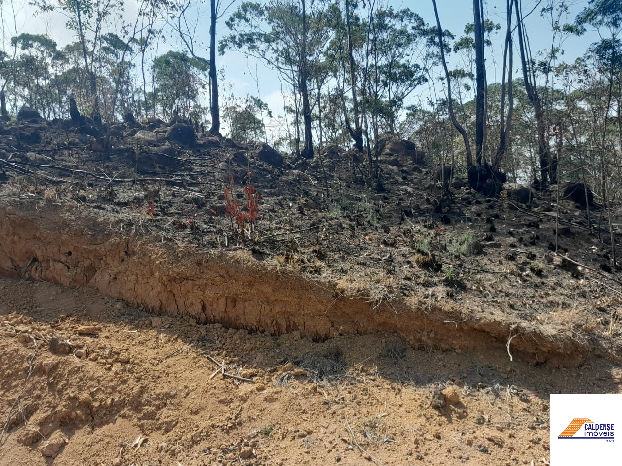 Terreno à venda, 21800m² - Foto 8