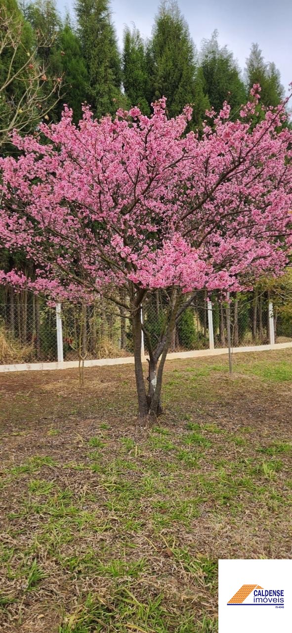 Casa de Condomínio para alugar com 3 quartos - Foto 4