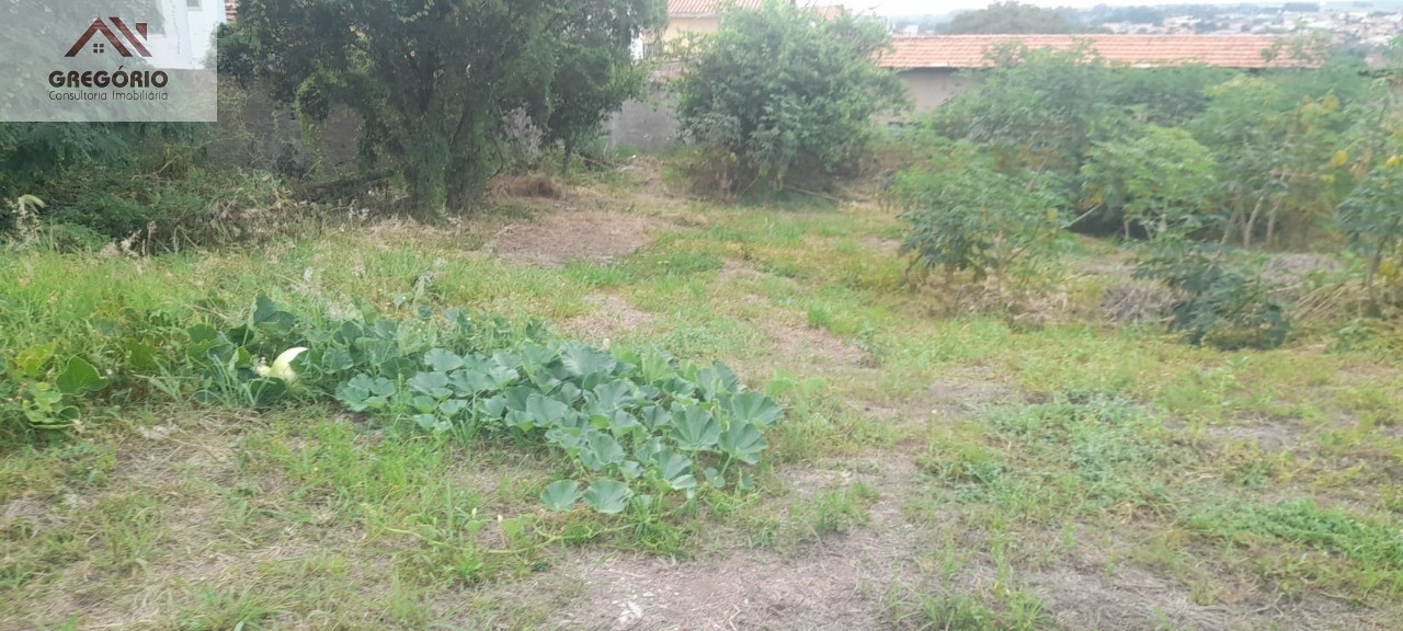 Terreno à venda, 1100m² - Foto 5