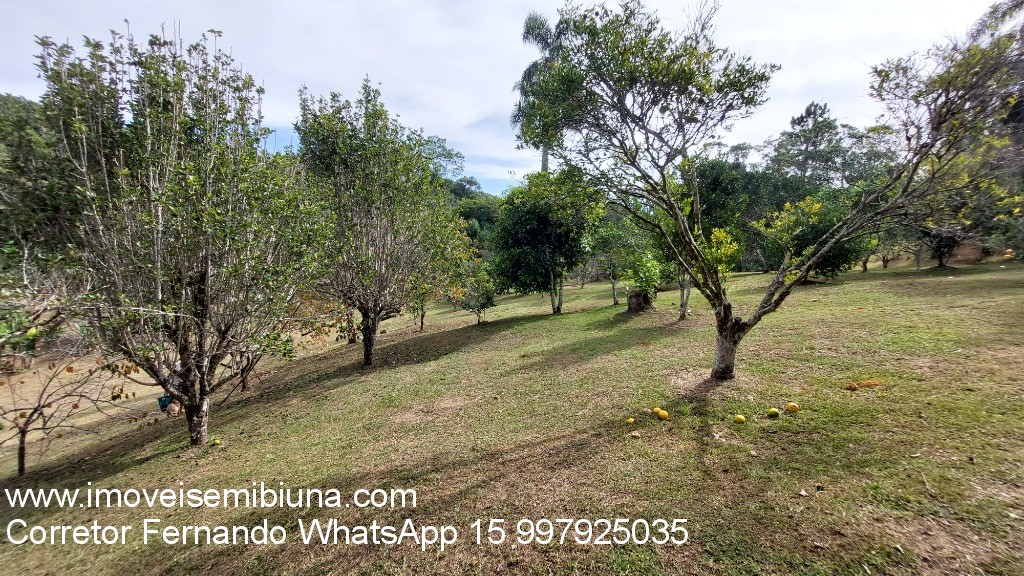 Chácara à venda com 3 quartos, 10000m² - Foto 39