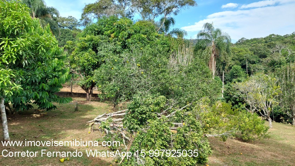 Chácara à venda com 3 quartos, 10000m² - Foto 28