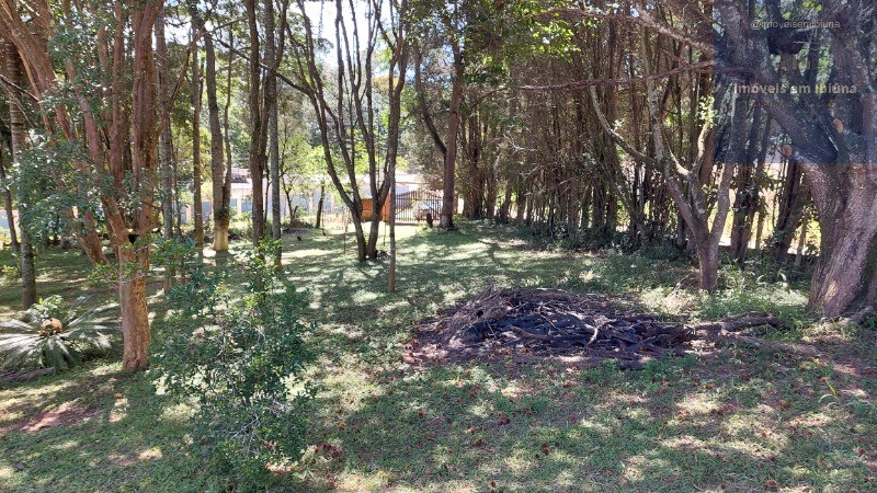 Chácara, 4 quartos, 5000 m² - Foto 9