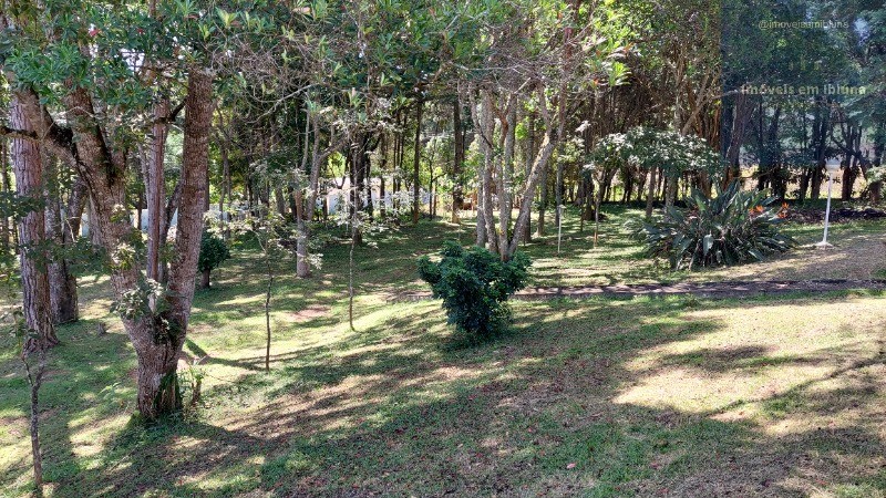 Chácara, 4 quartos, 5000 m² - Foto 17
