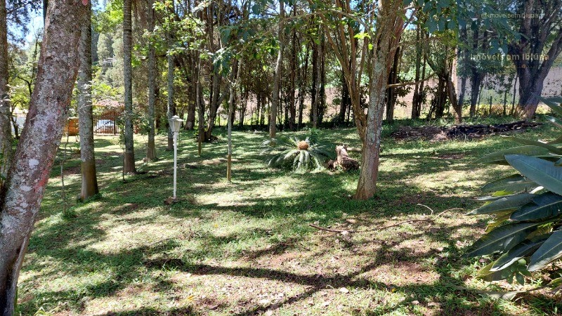 Chácara, 4 quartos, 5000 m² - Foto 58