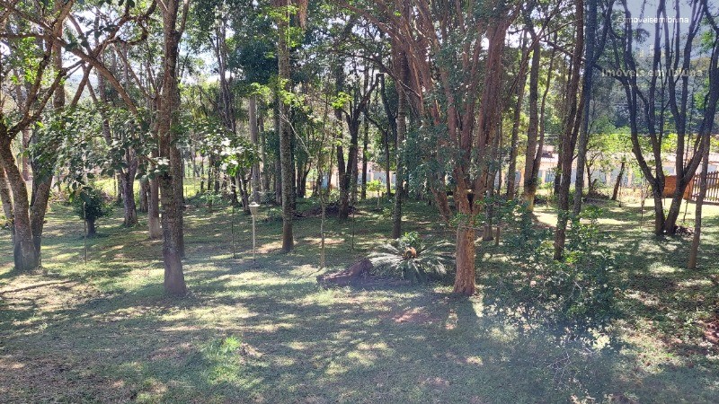Chácara, 4 quartos, 5000 m² - Foto 10