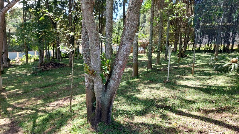 Chácara, 4 quartos, 5000 m² - Foto 59