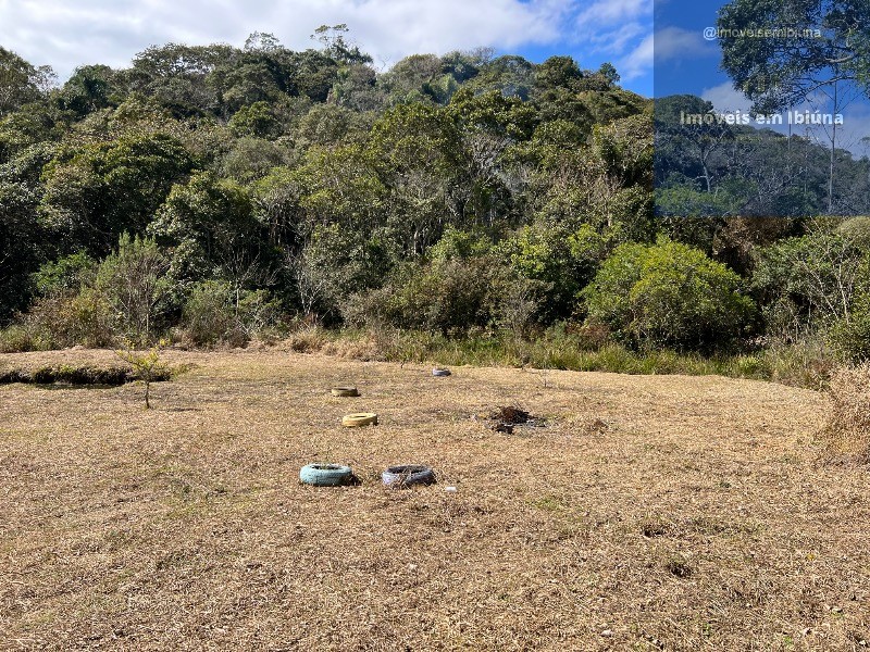 Chácara, 2 quartos, 3789 m² - Foto 18