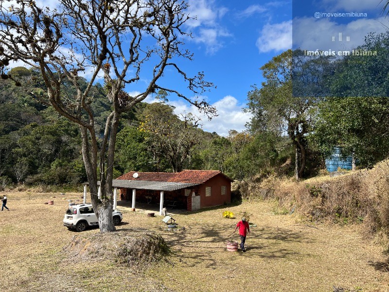 Chácara, 2 quartos, 3789 m² - Foto 9