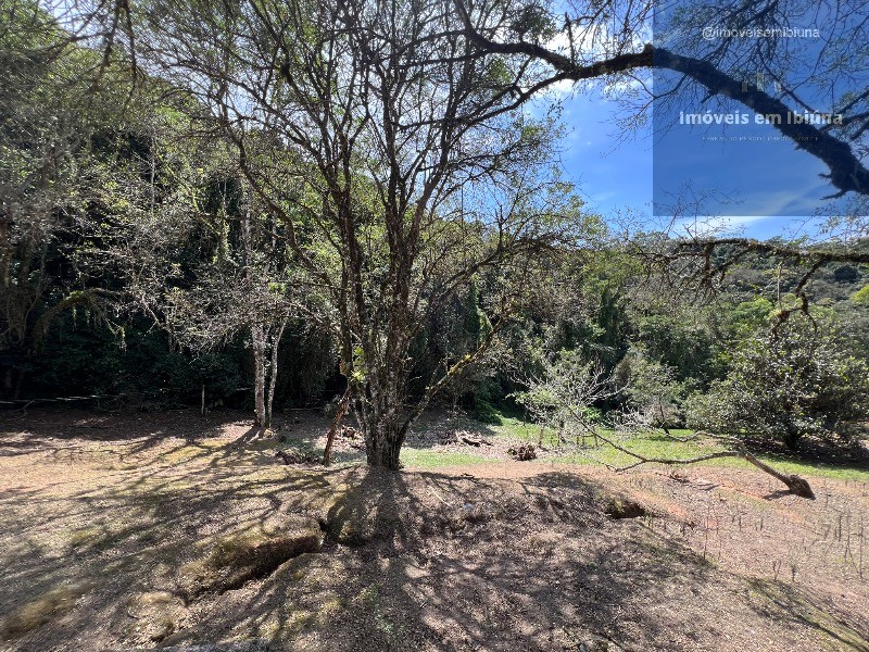 Sítio, 3 quartos, 7 hectares - Foto 8