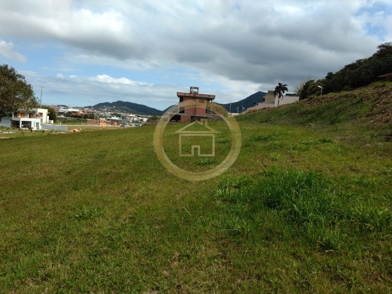 Terreno, 2762 m² - Foto 6