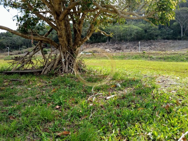 Terreno, 2762 m² - Foto 7