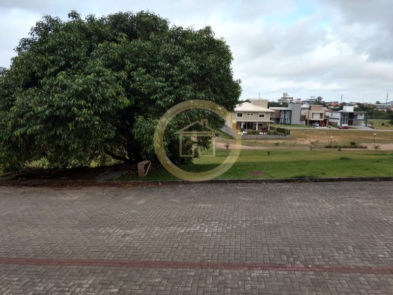 Terreno, 469 m² - Foto 3
