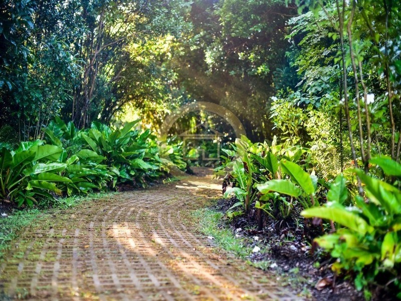 Terreno à venda, 900m² - Foto 6