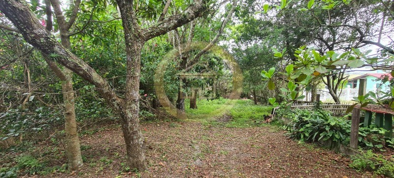 Terreno à venda com 3 quartos, 98m² - Foto 7