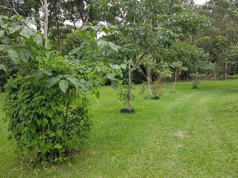 Terreno, 8 hectares - Foto 30