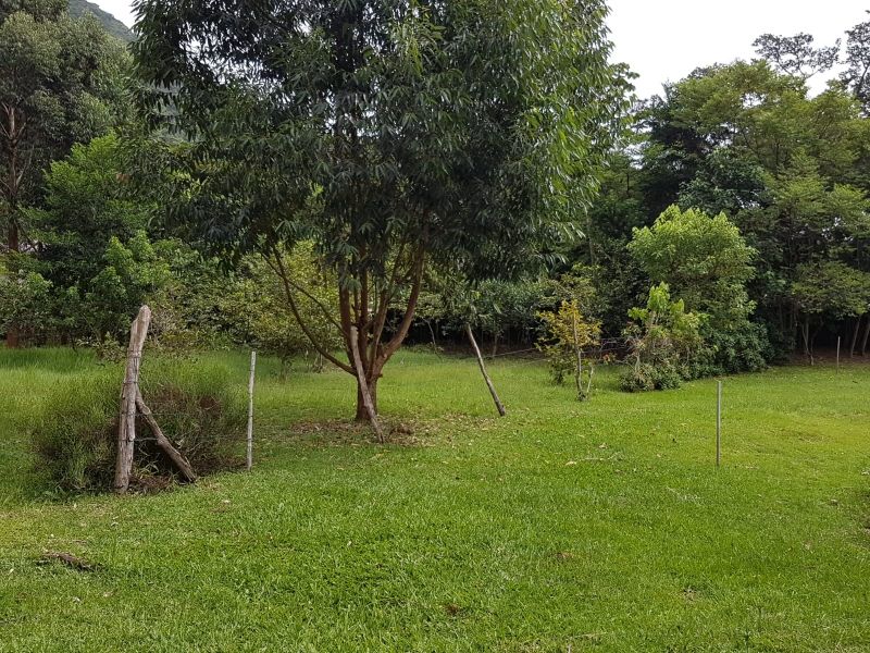 Terreno, 8 hectares - Foto 27