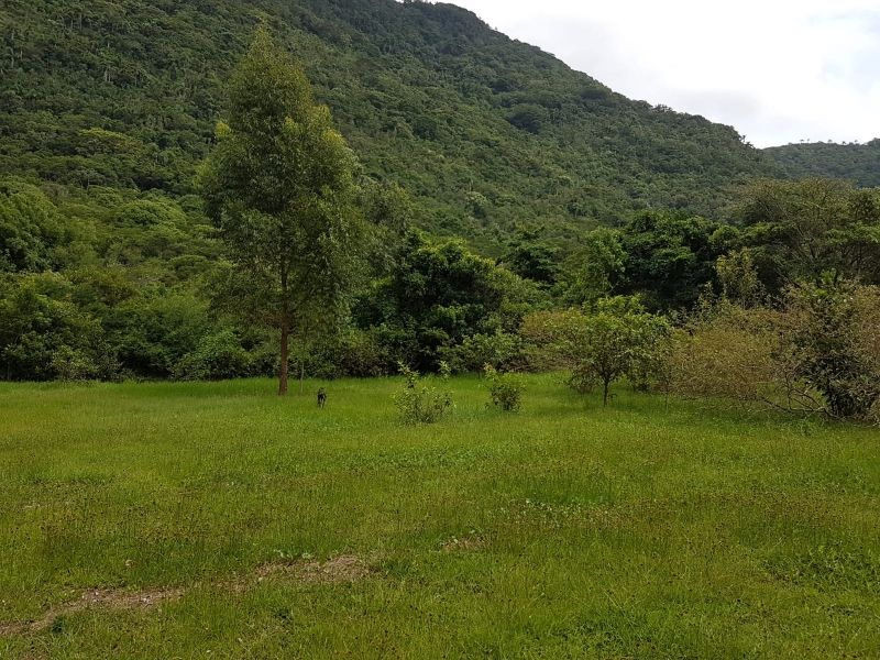 Terreno, 8 hectares - Foto 24