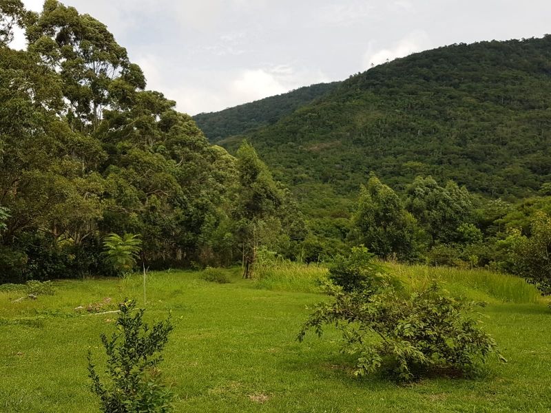 Terreno, 8 hectares - Foto 28