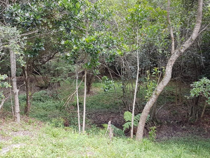 Terreno, 8 hectares - Foto 31