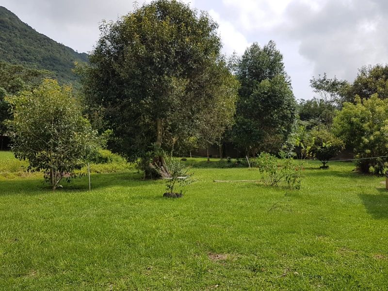 Terreno, 8 hectares - Foto 29