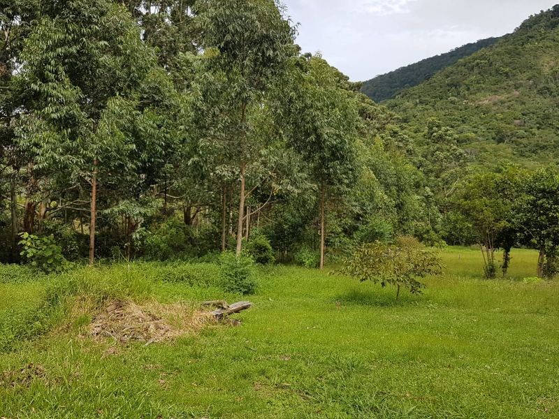 Terreno, 8 hectares - Foto 33