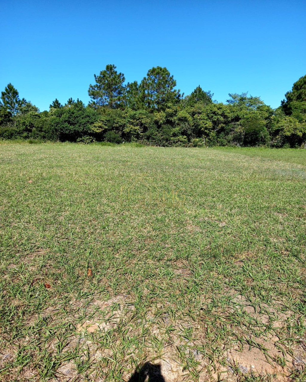 Terreno à venda, 422m² - Foto 5