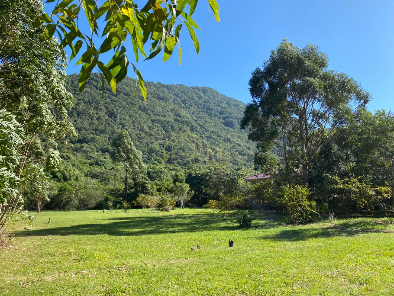 Terreno, 8 hectares - Foto 16