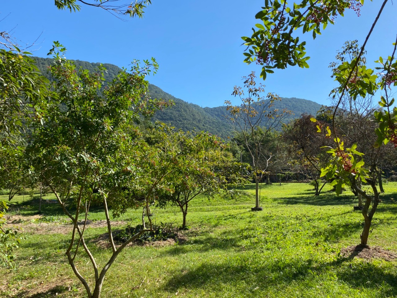 Terreno, 8 hectares - Foto 11