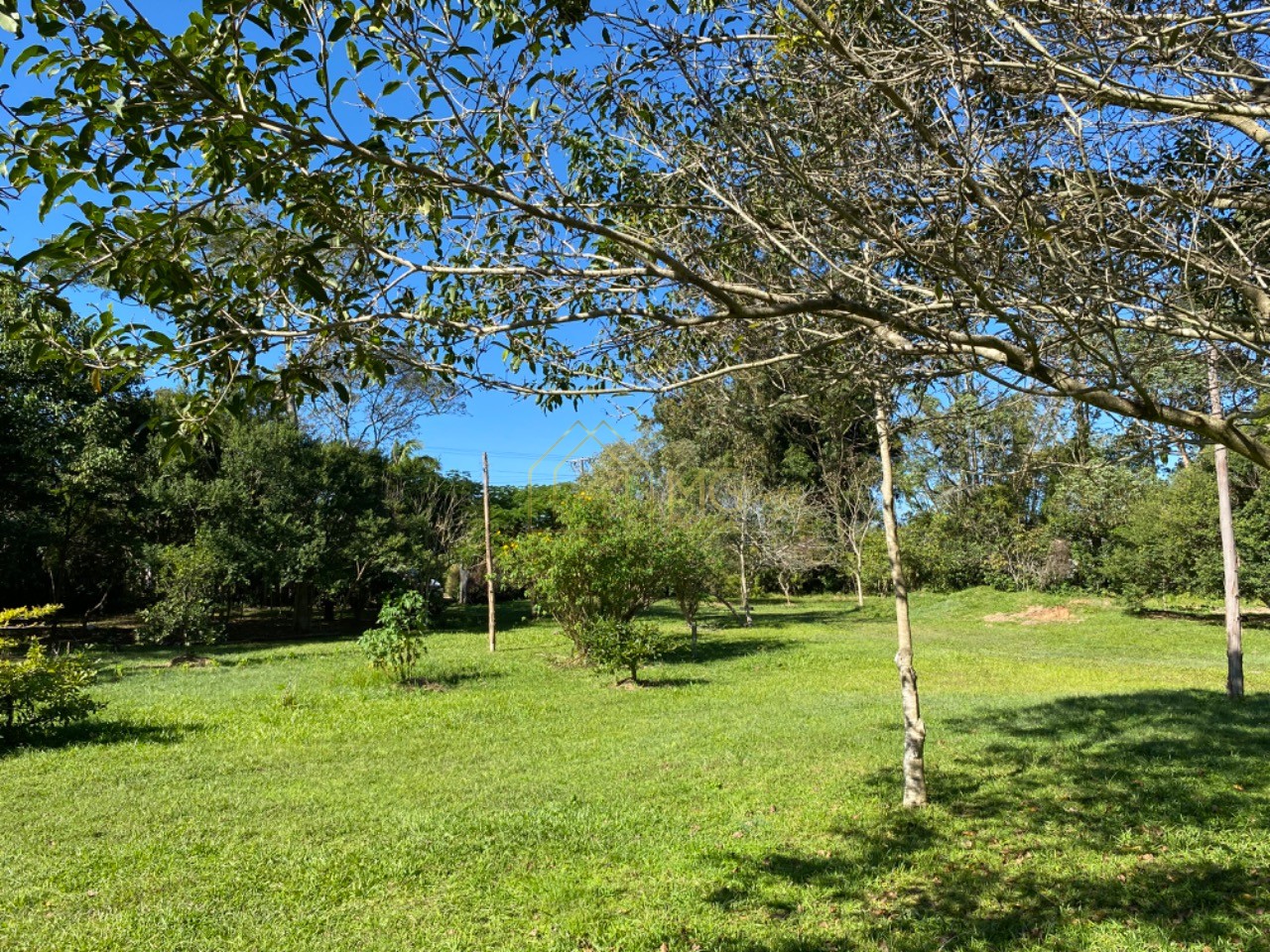 Terreno, 8 hectares - Foto 20