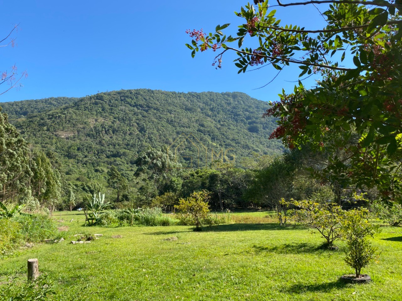 Terreno, 8 hectares - Foto 12