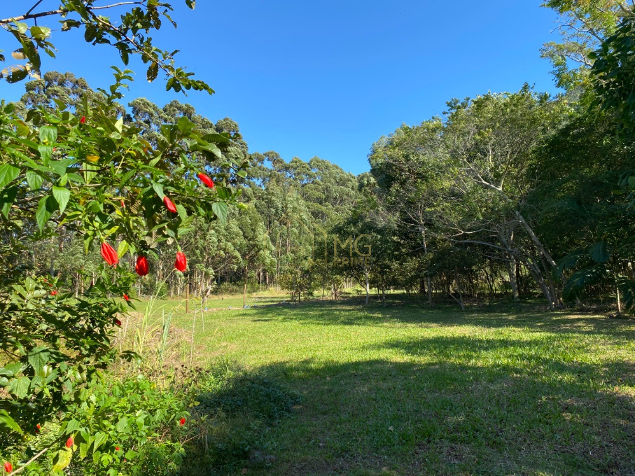 Terreno, 8 hectares - Foto 19