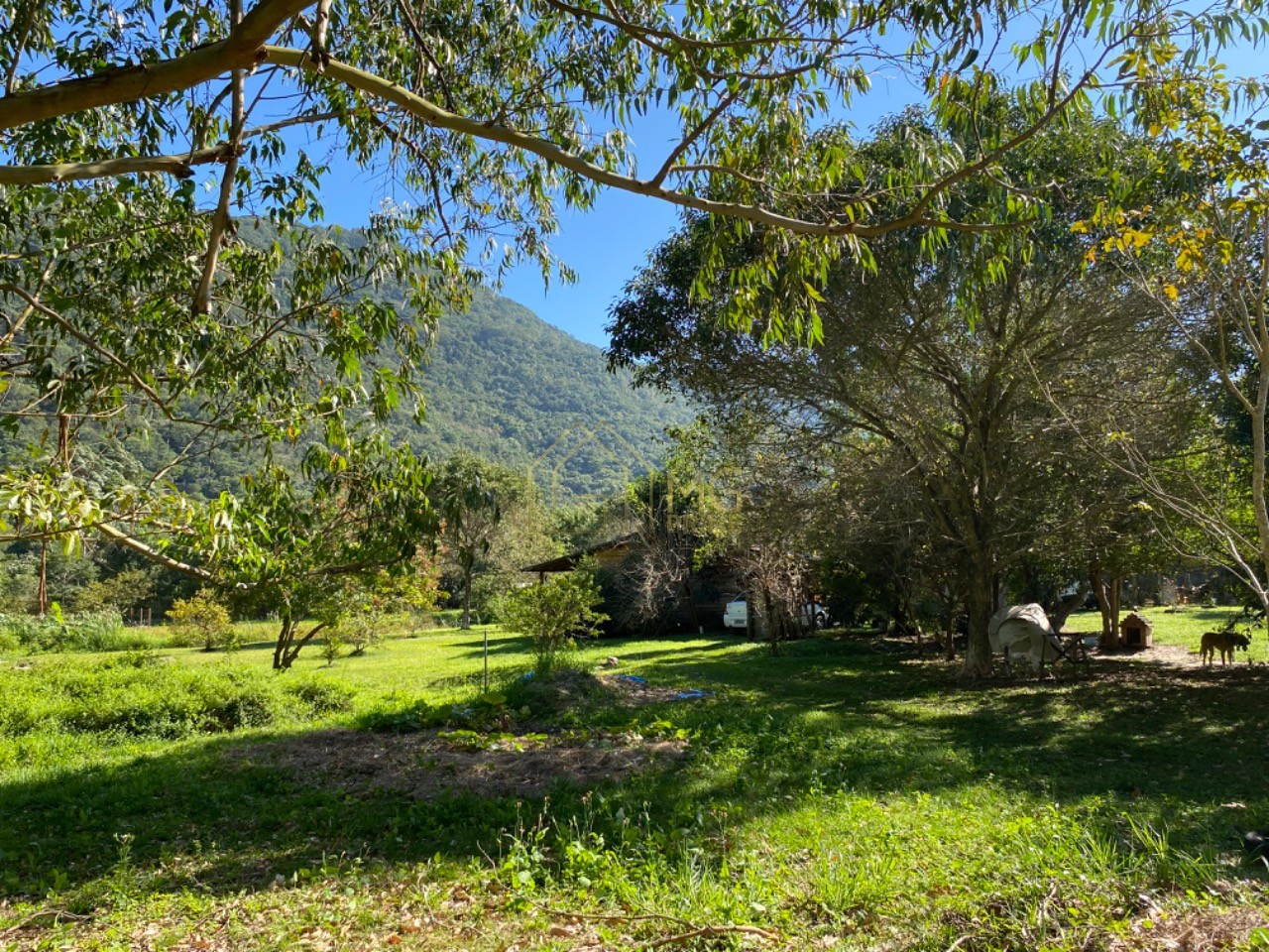Terreno, 8 hectares - Foto 14