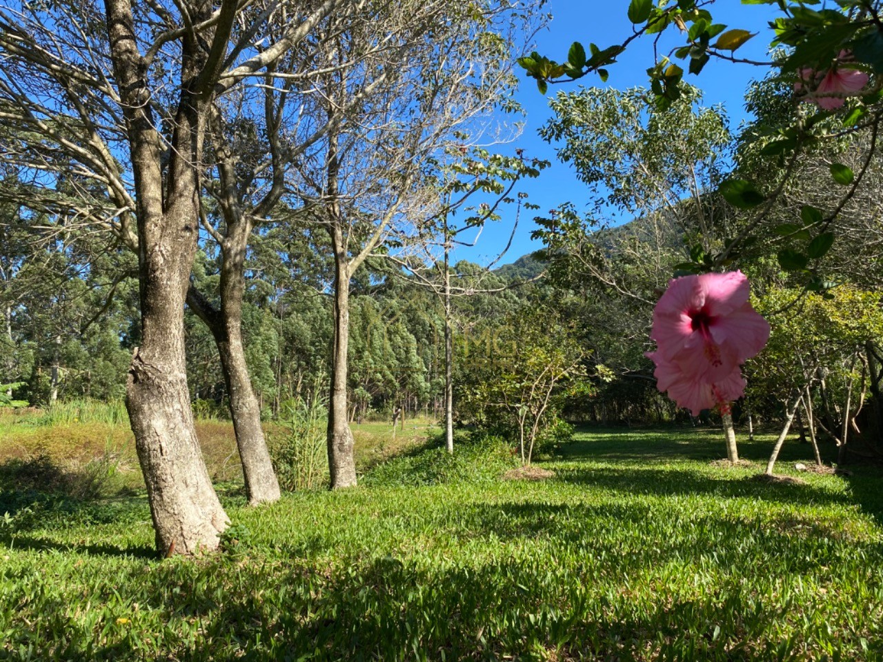 Terreno, 8 hectares - Foto 2