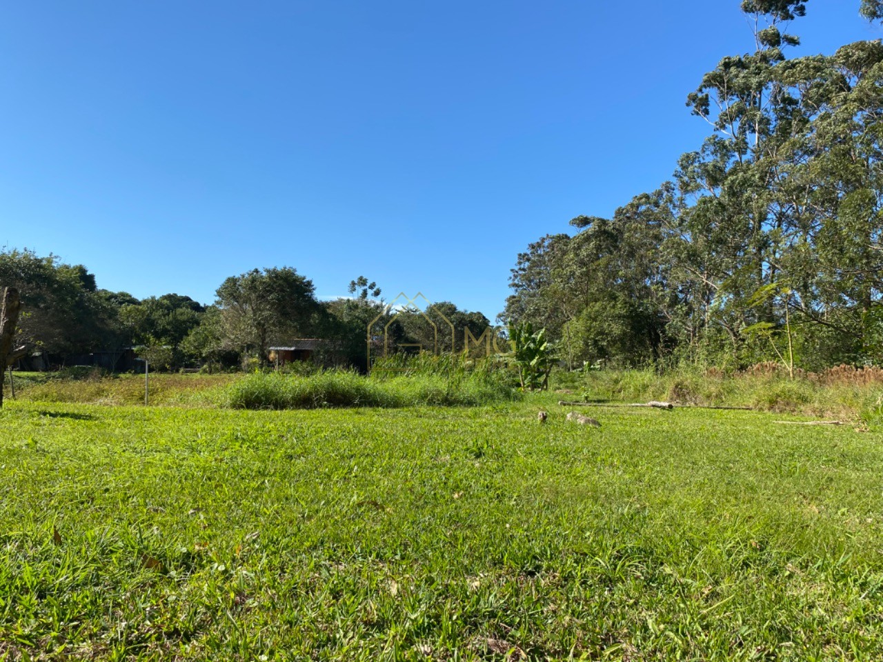 Terreno, 8 hectares - Foto 15