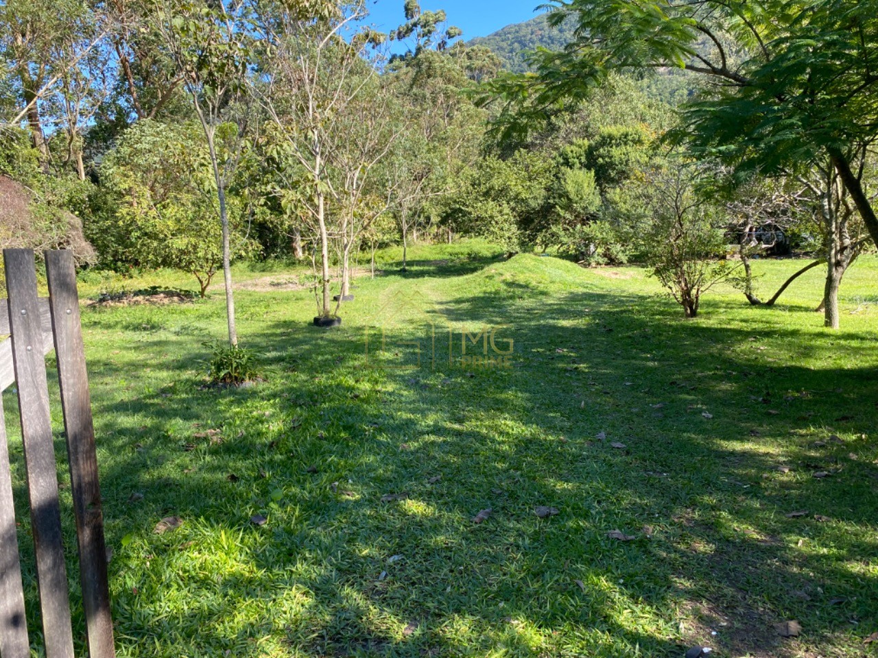 Terreno, 8 hectares - Foto 21