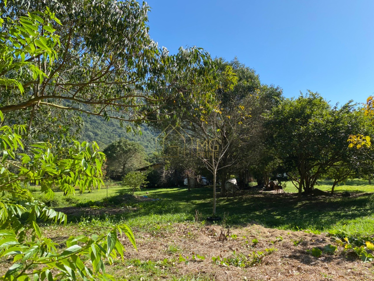 Terreno, 8 hectares - Foto 8