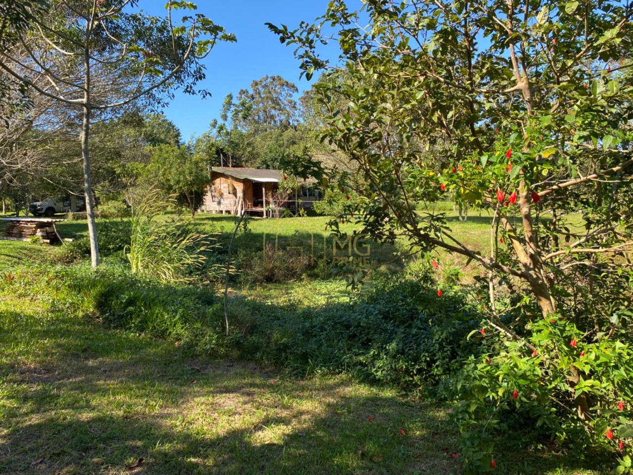 Terreno, 8 hectares - Foto 6