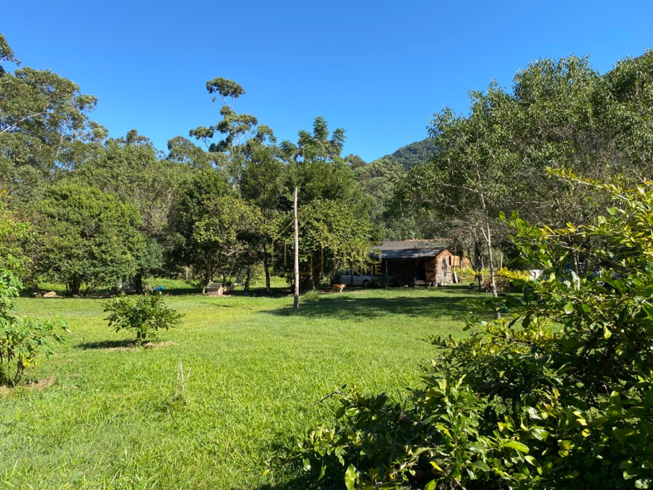 Terreno, 8 hectares - Foto 22
