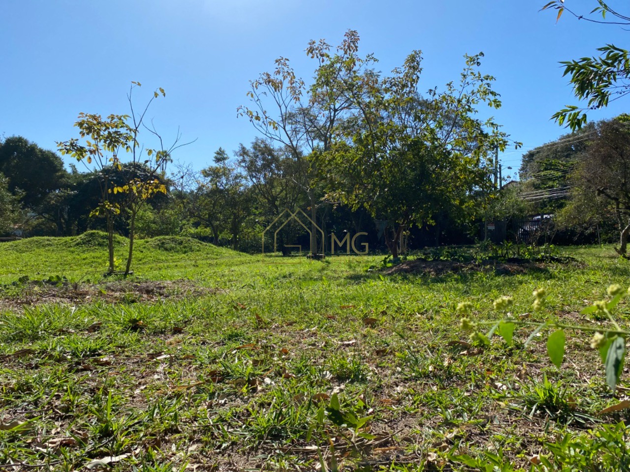 Terreno, 8 hectares - Foto 9