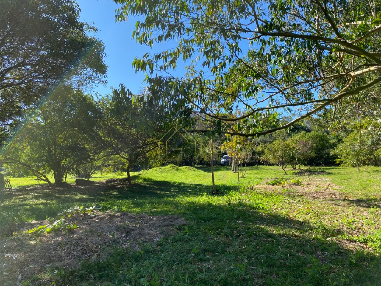 Terreno, 8 hectares - Foto 13
