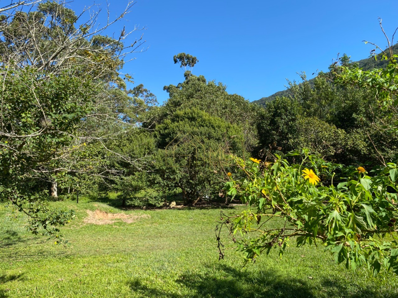 Terreno, 8 hectares - Foto 7