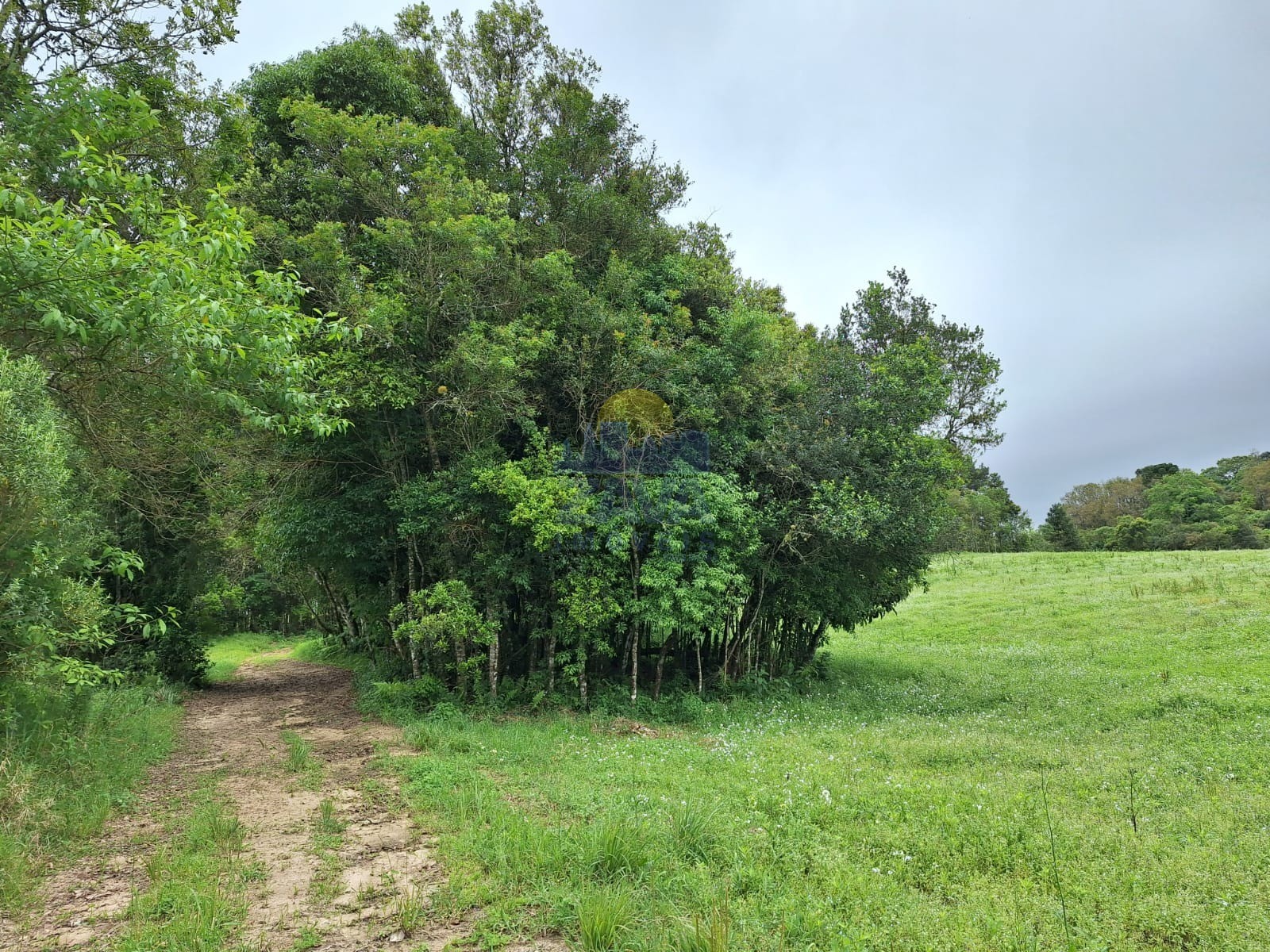 Terreno à venda, 81675m² - Foto 24