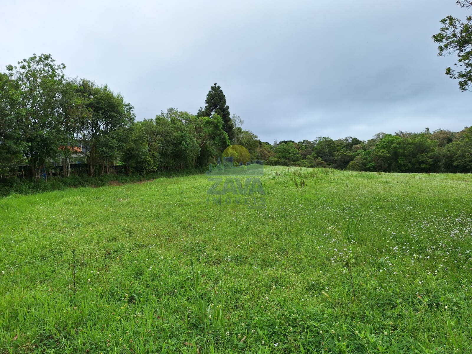 Terreno à venda, 81675m² - Foto 26