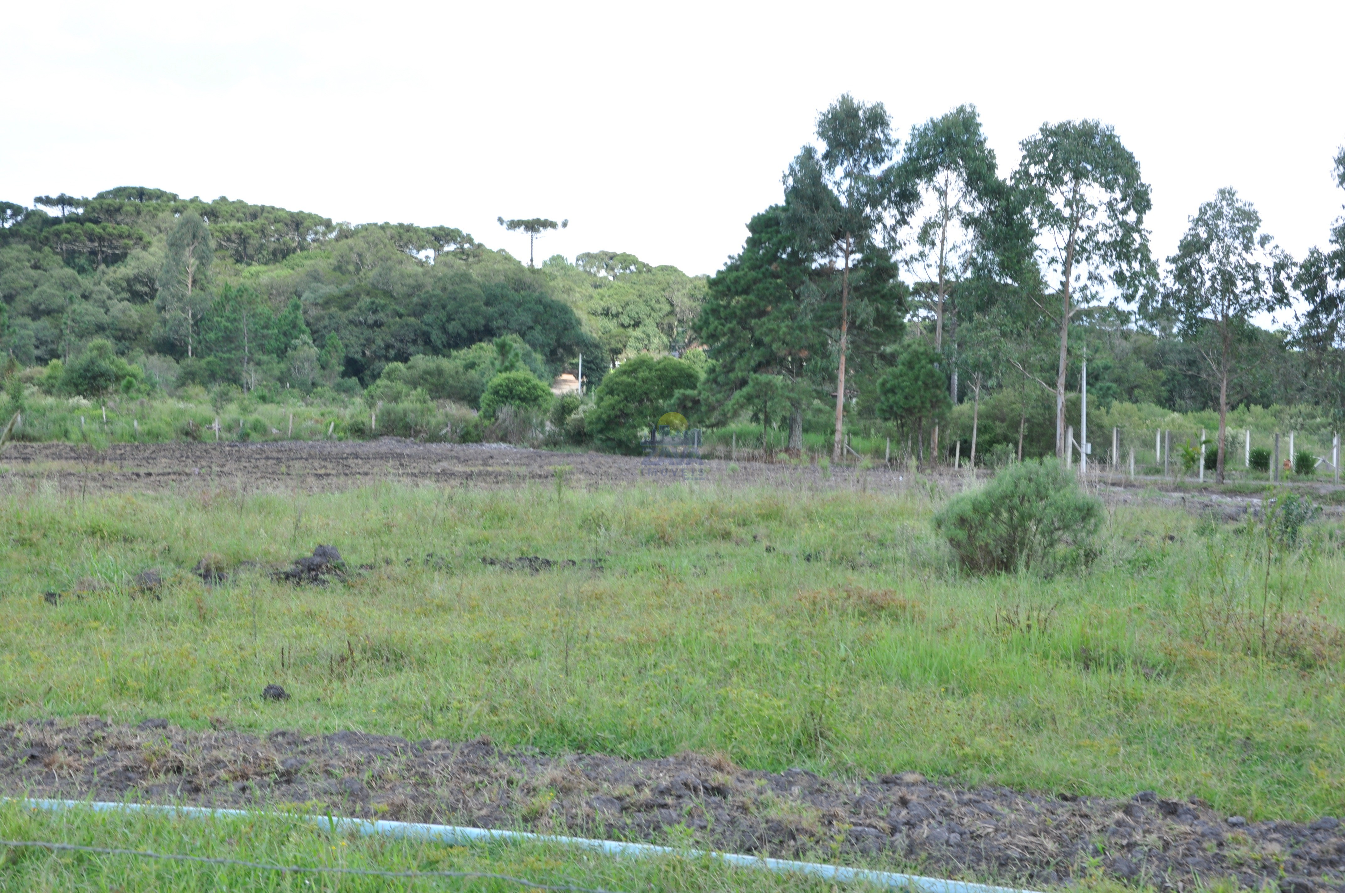 Haras e Área Rural Padrão à venda, 300000m² - Foto 24